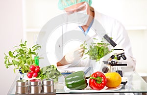 Researcher with GMO plants in the laboratory photo