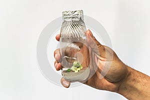 Researcher hand with test tube with cloned microplant, research bioengineering gmo concept