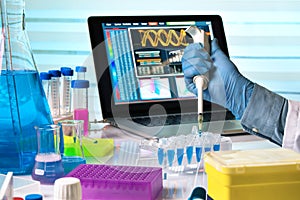 researcher hands working with pipette and tubes in the laboratory table