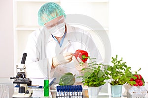 Researcher holding up a GMO vegetable