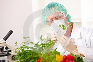Researcher holding up a GMO vegetable