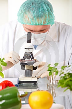 Researcher holding up a GMO vegetable in the lab