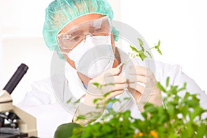 Researcher holding up a GMO vegetable in the lab