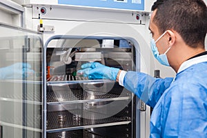 Researcher introducing a petri dish into an incubator