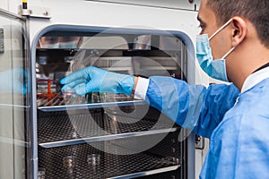 Researcher introducing a petri dish into an incubator