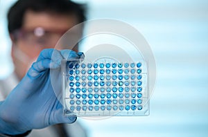 Researcher in the laboratory holding samples in microplate
