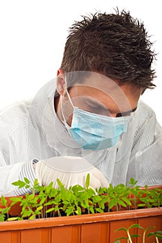 Researcher man examine new plants