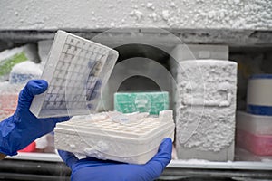 The researcher opens the storage box that keeps the sample in -80C refrigerator. To finds samples of protein used for the further