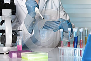 Researcher pipetting samples in microplates in the laboratory