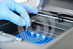 A researcher putting PCR tubes on the thermal cycler for DNA amplification