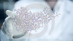 Researcher rotating growth hormone amino acid chemical molecule on transparent touch display