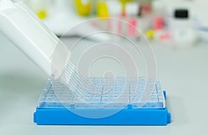 Researcher or scientific using a multichannel micropipette to put the DNA or RNA samples in a 96 wells plate