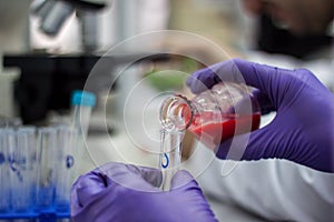 Researcher or scientist or doctoral student pours red and green photo