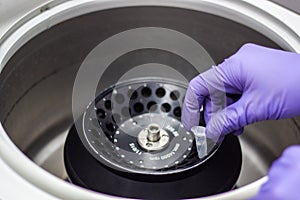 Researcher or scientist or PHD student working in a biotechnology laboratory sampling DNA in a test tube with centrifuge