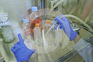 The researcher used the Glass Pasteur Pipette for aspirating culture media from culture dish 100 mm diameter by sterile method. photo