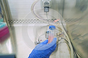 The researcher using bunsen burner to sterile technique for kill the pathogen or bacteria and prevent the contamination in the