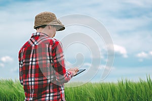 Researcher using digital tablet in wheat crop field
