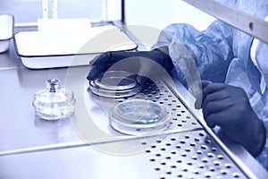 Researcher working with petri dish with bacteria in bacteriological laboratory. Concept of Pharmaceutical Development