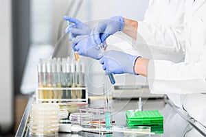 Researchers preparing samples for experiments in laboratory