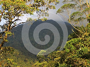 Reserva Ecologica Rio Blanco, Manizales, Colombia photo