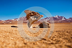 Reserva Eduardo Avaroa, Bolivia Salar de uyuni altiplano photo