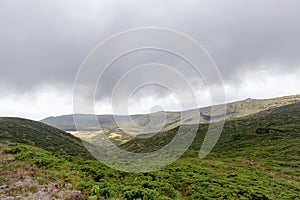 Reserva Florestal Natural do Morro Alto e Pico da Se photo