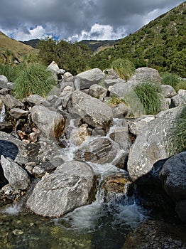 Reserva Florofaunistica reserve in Merlo photo