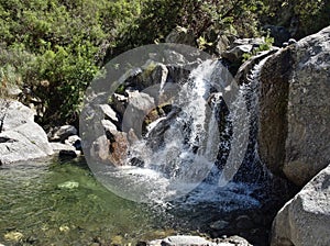 Reserva Florofaunistica reserve in Merlo photo