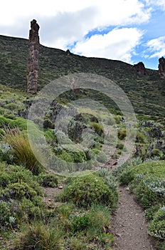 Reserva Nacional Lago Jeinimeni, near Lago General Carrera in Southern Chile photo