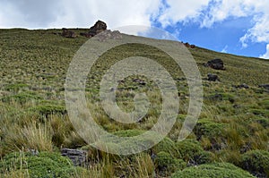 Reserva Nacional Lago Jeinimeni, near Lago General Carrera in Southern Chile photo