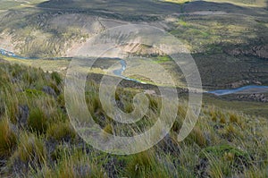 Reserva Nacional Lago Jeinimeni, near Lago General Carrera in Southern Chile photo