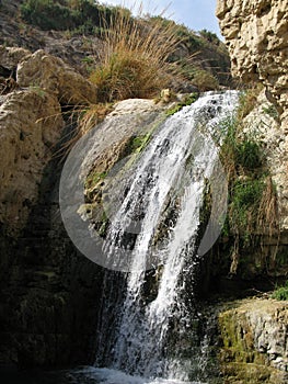 Reserve Ein Gedi, Israel