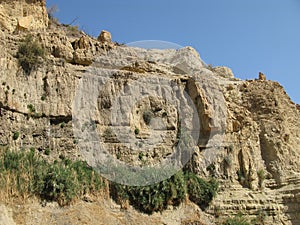 Reserve Ein Gedi, Israel