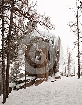 Reserve Krasnoyarsk pillars in the winter. Feathers Pillar.