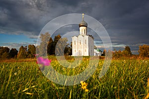 Reserved meadow near Church of the Intercession of the Holy Virgin