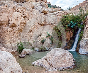 The reserves Ein Gedi