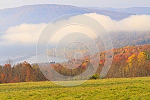 Reservoir Fog