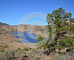 Reservoir of Las Niñas, Gran Canaria