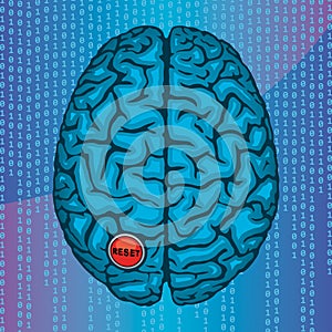 Reset your brain