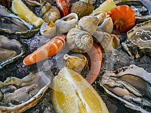 Resh oysters with lime