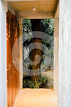 Residence Entrance Gate with Tree