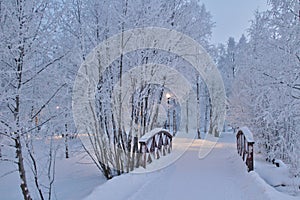 Residence Park in winter coats