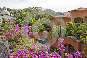 Residences in the hills of Puerto Vallarta photo