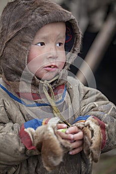 A resident of the tundra, The extreme north, Yamal, the pasture of Nenets people, children on vacation playing in the yurt