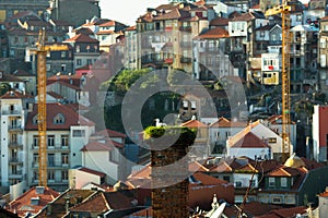 Residental buildings in center of old Porto