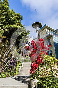 Residential area of Downtown San Francisco