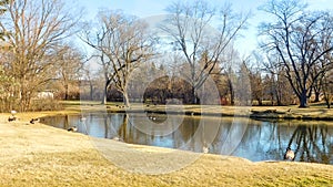 Residential Area And Lake View