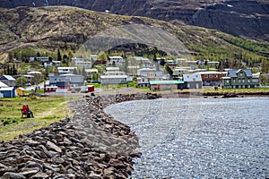 Residential area with residential buildings and houses behind a lake in front of a mountain in Seydisfjordur, Iceland