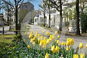 Residential area at the suburb of Tokyo, Japan