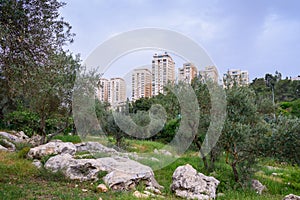 Residential areas of the new part of Israeli Jerusalem.